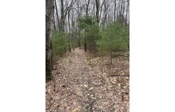 80 R East Street, Granby, MA 01033