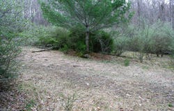 TBD E HIGHLAND TPKE, MONTEREY, VA 24465