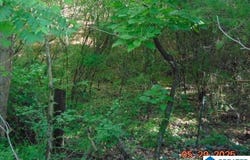 Lot 1 COUNTY ROAD 182, CLANTON, AL 35045