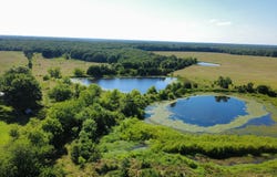 3505 SE 1379 Rd, Weaubleau, MO 65774