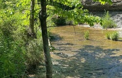 3530 Bramlett Road, Greensburg, KY 42743