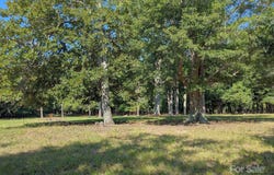 0000 Tract #1A Roddey Road, Catawba, SC 29704