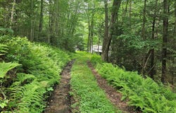 1992 Beaverdam Rd., Renovo, PA 17764