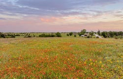 12069 Fm-1602, Jonesboro, TX 76538