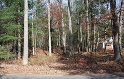 Buck Mountain Road, Lehigh Twp, PA 18255