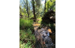 101 Pleasant Home, Sparta, NC 28675