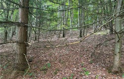 1003 County Highway 35, Masonville, NY 13839