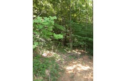 Penrod Rd., Hwy 949, Dunmor, KY 42339