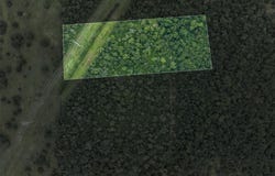 Tbd West Caney Road, Normangee, TX 77871