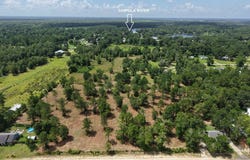 Corn Griffin St, Wewahitchka, FL 32465