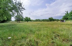 8785 S State Highway 78, Leonard, TX 75452