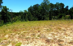102 Hugh White State Park Road lot: 2, Grenada, MS 38901