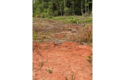 0 Live Oak Rd, Luverne, AL 36049