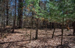 674 17th Drive, Nekoosa, WI 54457