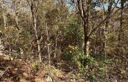 4619 Legacy Preserve Way SE, Brownsboro, AL 35741