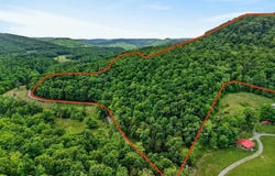 Sunk Cane Road, Crawford, TN 38554