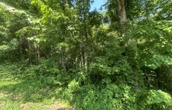 43 Rock Springs Road, Celina, TN 38551