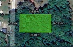 NE 165TH TERRACE, SILVER SPRINGS, FL 34488