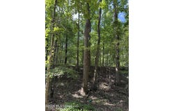 80 Co Rd 5009, Como, MS 38619