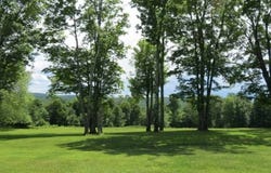 57 Boettger Rd, Callicoon, NY 12723