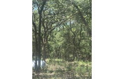 500 PR 3204, Bridgeport, TX 76426