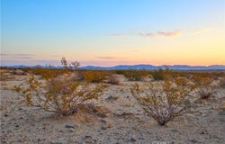 10 Learco Way, Joshua Tree, CA 92252