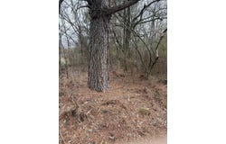 000 lot 21 Gather Griffin farm road, Quitman, AR 72131