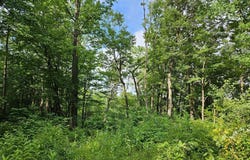 8747 SWEETWATER ROAD, FORT LOUDON, PA 17224