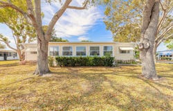 317 LAKEVIEW DRIVE, OSTEEN, FL 32764