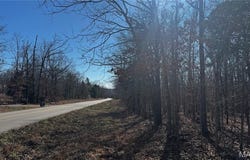 2419 Ripley Rt. BB, Fairdealing, MO 63939