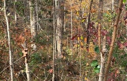 0001 Loggers Trail, Many, LA 71449