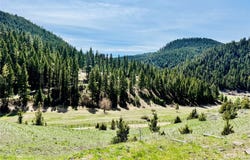31 Packer Gulch Road, Drummond, MT 59832
