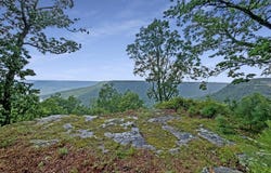 0 Cumberland Circle, Jasper, TN 37347
