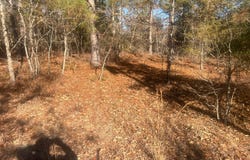 Golden Eagle Lane, Hephzibah, GA 30815