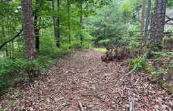 198 Log Round Mountain Trail, Ellijay, GA 30540
