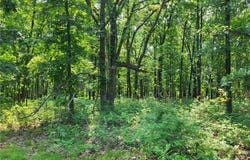 Rolfs Place, Edwards, MO 65326