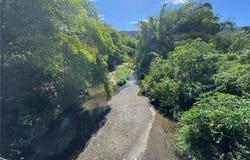 PR-335, GUAYANILLA, 00656