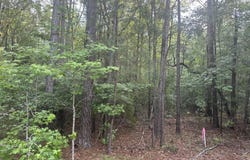 320 Dewdrop Drive, Ridgeway, SC 29130