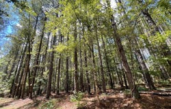 Hwy 7, Grenada, MS 38901