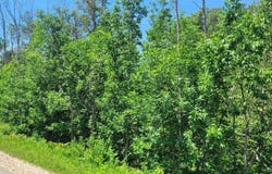00 Ellsworth Road, Ellsworth, MI 49729-9999