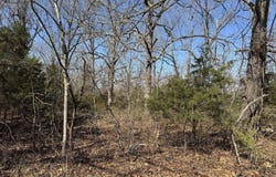 0 Sundown Road, Highland, AR 72542