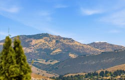 2049 Elderberry Dr, San Ramon, CA 94582