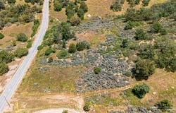Jacks Hill Road, Tehachapi, CA 93561
