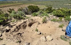 163 CR 402, Lindrith, NM 87029