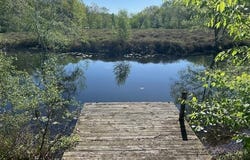 11021 Heather Lane, Canadian Lakes, MI 49346