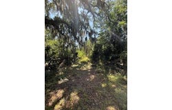17918 NE US HIGHWAY 301, WALDO, FL 32694