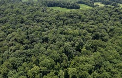 25228 Vanetta Hollow Rd, Laurel, IN 47024
