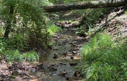 6.1 AC TRACT 21-C SOUTH POTOMAC TROUGH FARM II, MOOREFIELD, WV 26836