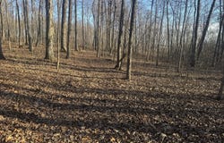 0000 Burtzelbach Road, Guilford, IN 47022