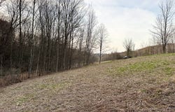 VL Lot 10  Brennan Road, Addison, NY 14801